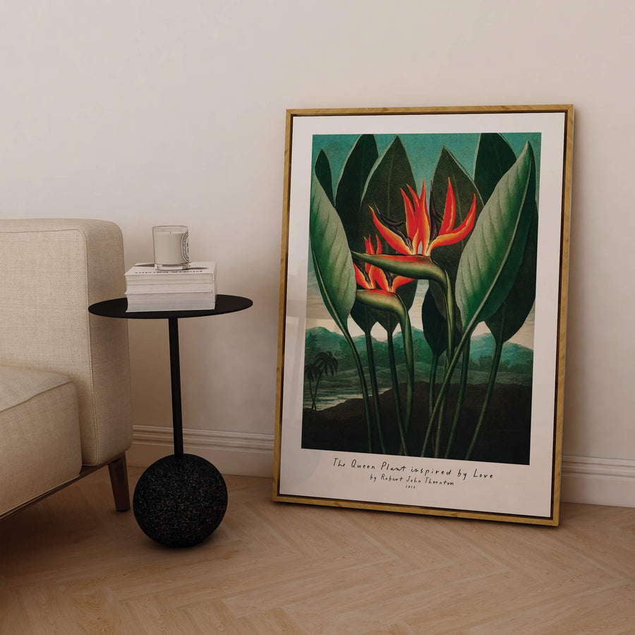 Birds of Paradise Print – A colorful, vintage-inspired wall art featuring tropical floral details, perfect for brightening modern interiors. Get 2PrintsFor$100 with Free Shipping 🚚💫 in Australia.