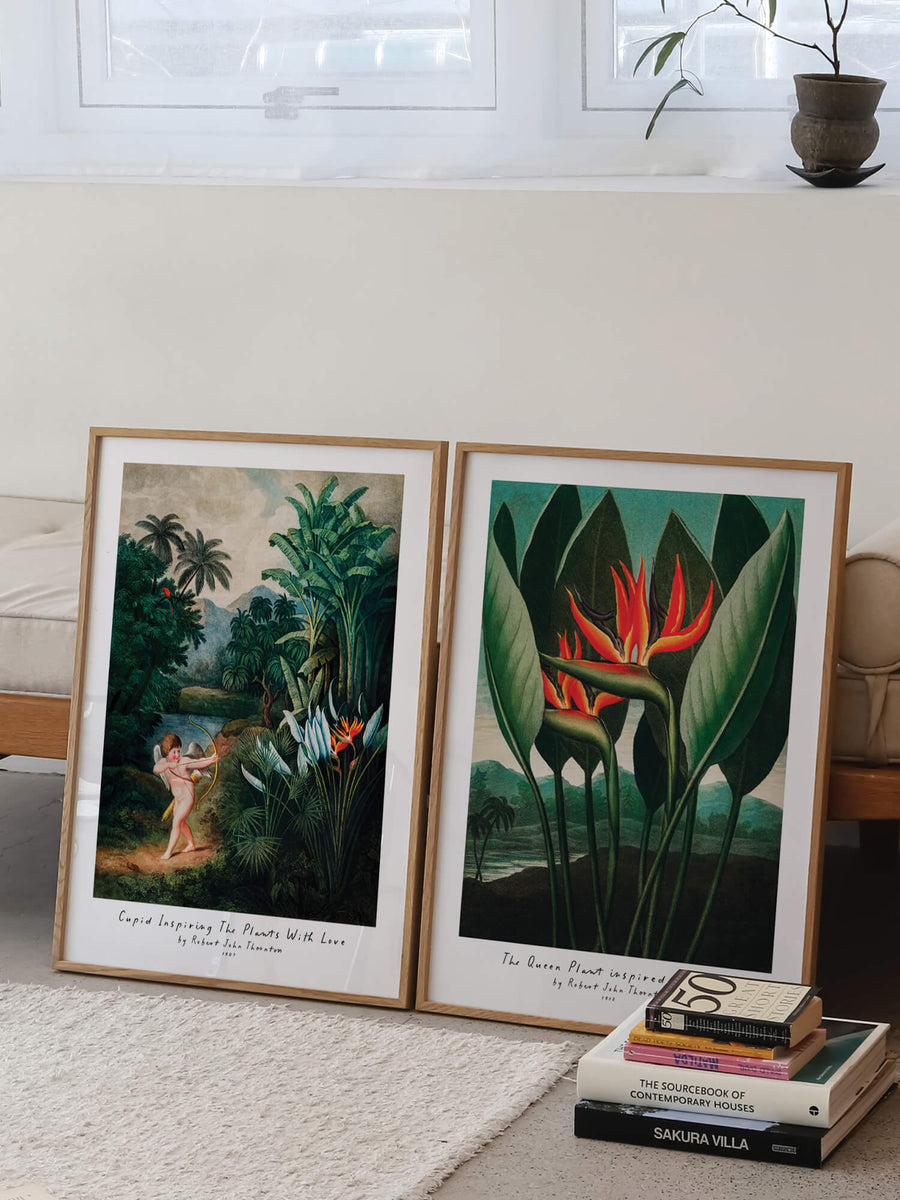 Birds of Paradise Print