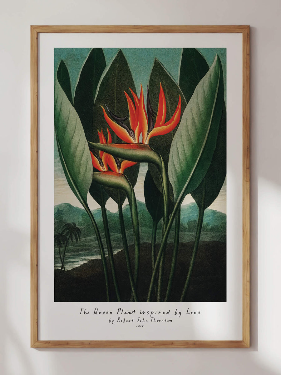 Birds of Paradise Print