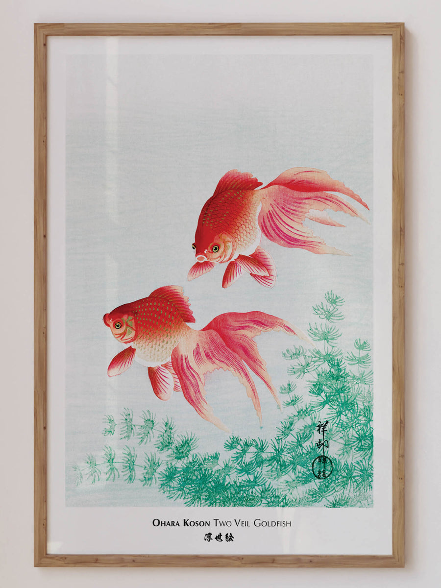 Japanese Goldfish by Ohara Koson print