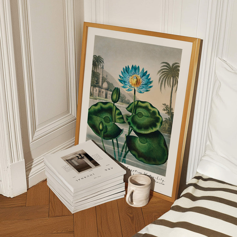 Vintage Water Lily Print – Elegant floral wall art with soft, serene tones. Perfect for adding a touch of nature to your home decor. Get 2PrintsFor$100 with Free Shipping 🚚💫 in Australia.