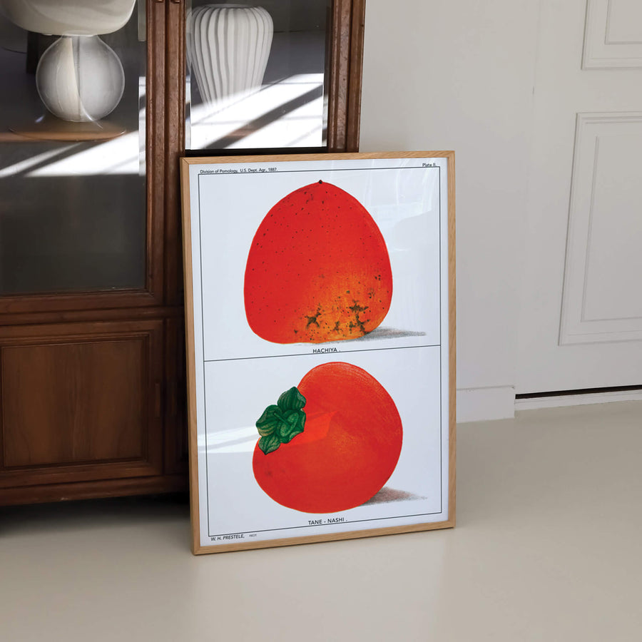 Juicy Persimmons Print