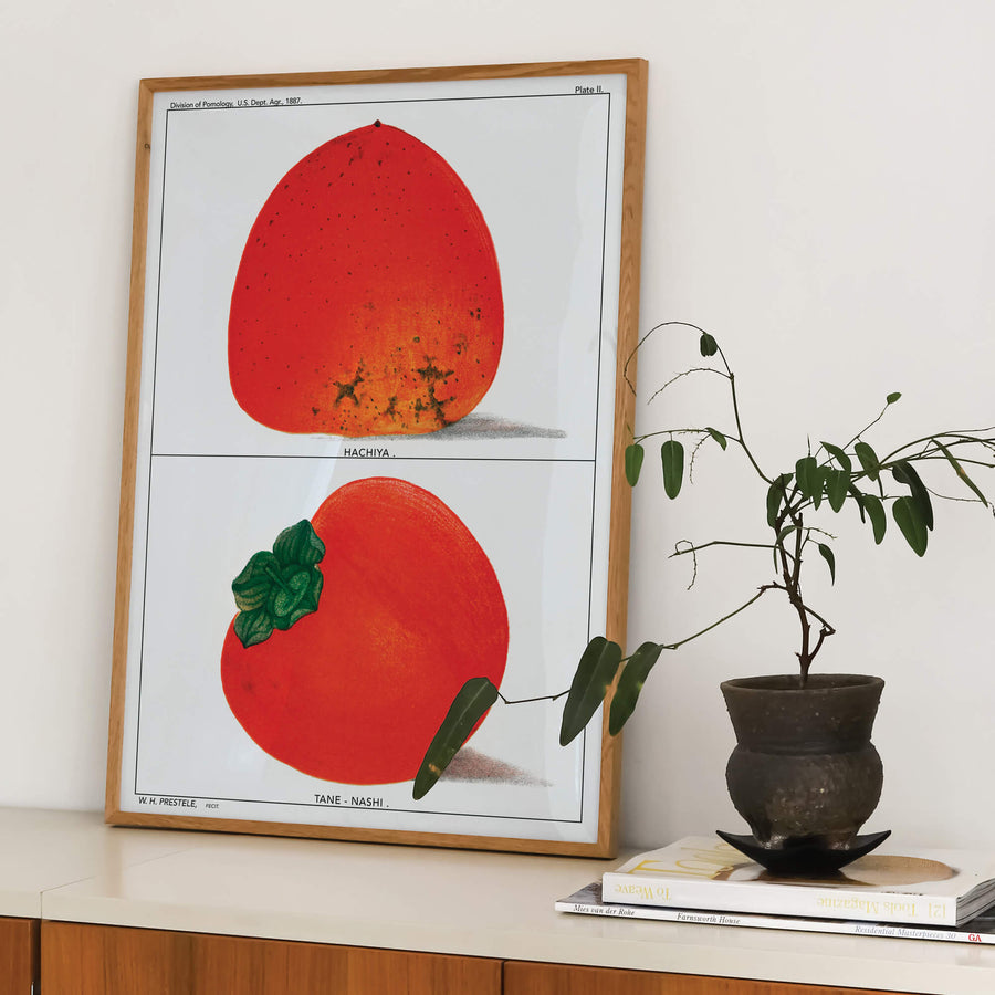 Juicy Persimmons Print