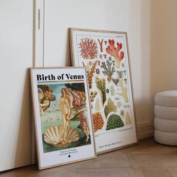 Vintage print bundle featuring the Great Barrier Reef Corals by William Saville-Kent and a Venus Botanical print. Perfect for coastal and botanical-inspired decor. Available at EDGE Wall Art with 2PrintsFor$100 and Free Shipping 🚚💫 in Australia.